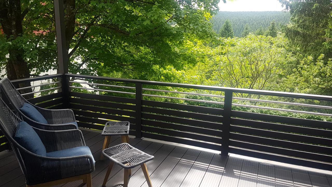 Pension & Ferienwohnung Oberhof 810 M Dış mekan fotoğraf